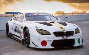 BMW M6 GTLM Art Car by John Baldessari (F13) '2016
